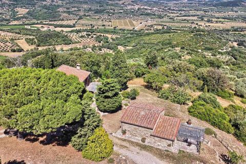 Masia a Suvereto, Livorno, Suvereto - € 1.980.000 | Ref: ILV93458-1412369 - foto 6