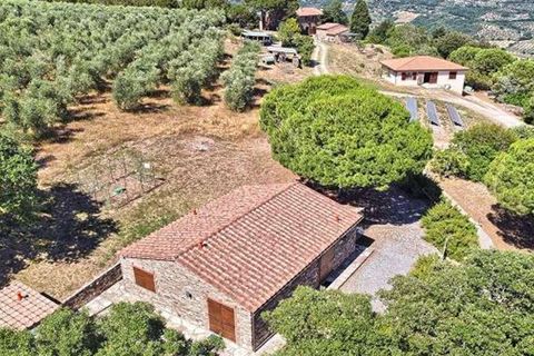 Masia a Suvereto, Livorno, Suvereto - € 1.980.000 | Ref: ILV93458-1412369 - foto 7