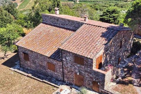 Masia a Suvereto, Livorno, Suvereto - € 1.980.000 | Ref: ILV93458-1412369 - foto 35