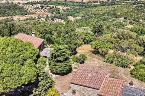 Masia a Suvereto, Livorno, Suvereto - € 1.980.000 | Ref: ILV93458-1412369 - foto 39