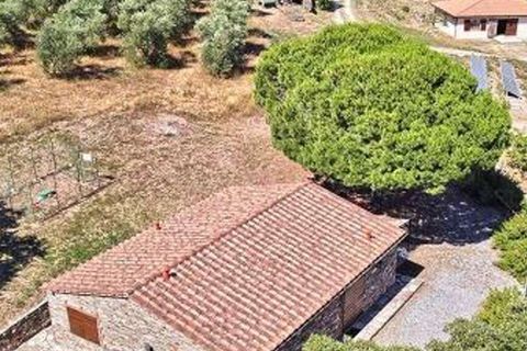 Masia a Suvereto, Livorno, Suvereto - € 1.980.000 | Ref: ILV93458-1412369 - foto 40