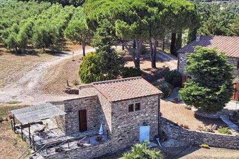 Masia a Suvereto, Livorno, Suvereto - € 1.980.000 | Ref: ILV93458-1412369 - foto 44