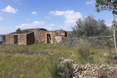 Herregård i Castelo Branco, Castelo Branco, Castelo Branco - € 60 000 | Ref: 1TC4403 - foto 3