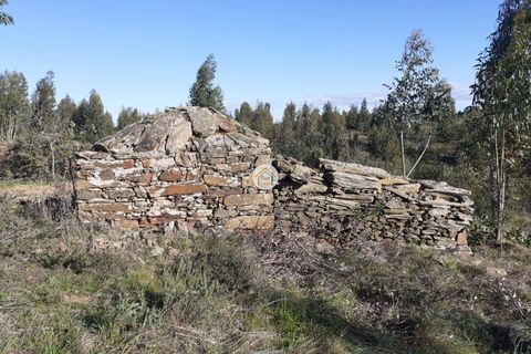 Herregård i Castelo Branco, Castelo Branco, Castelo Branco - € 60 000 | Ref: 1TC4403 - foto 7