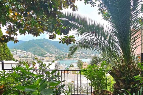 Villa i Rapallo, Genoa, Rapallo - € 1.285.000 | Ref: ILV93462-1412689 - foto 17