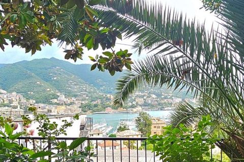 Villa i Rapallo, Genoa, Rapallo - € 1.285.000 | Ref: ILV93462-1412689 - foto 45