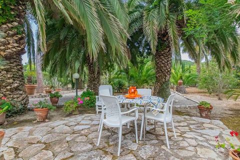 Villa a Lacona, Livorno, Lacona - € 950.000 | Ref: ILV93530-1413232 - foto 38
