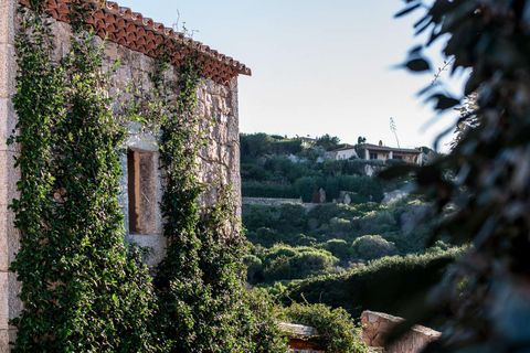 Villa i Arzachena, Sassari, Arzachena - € 3.600.000 | Ref: ILV93573-1413929 - foto 5