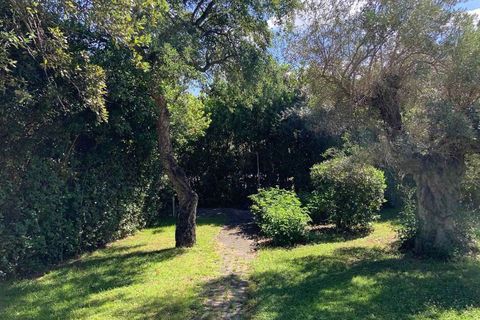 Villa i Punta Ala, Grosseto, Punta Ala - € 700.000 | Ref: ILV93649-1415131 - foto 20