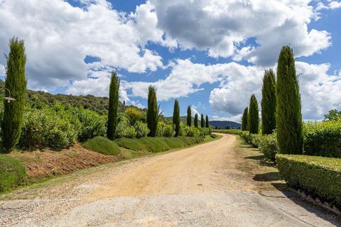 Landejendom i Casole d'Elsa, Siena, Casole d'Elsa - € 1.985.000 | Ref: ILV93677-1415391 - foto 13