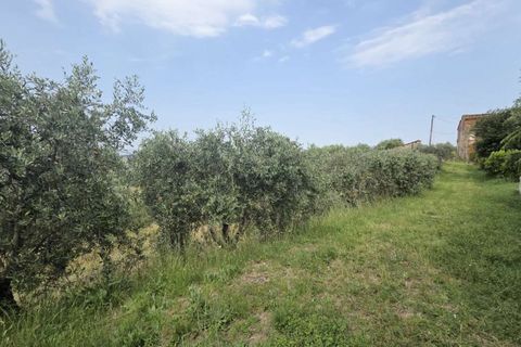 Farm hus i Montecarlo, Lucca, Montecarlo - € 980.000 | Ref: ILV93659-1415626 - foto 4