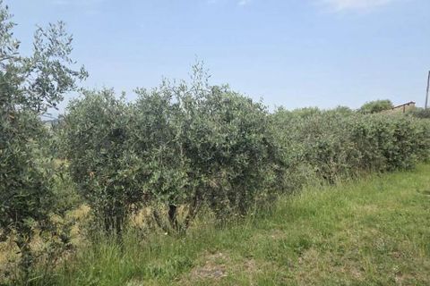 Farm hus i Montecarlo, Lucca, Montecarlo - € 980.000 | Ref: ILV93659-1415626 - foto 14