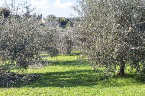 Villa en Sovicille, Siena, Sovicille - € 790.000 | Ref: ILV93689-1415737 - photo 15