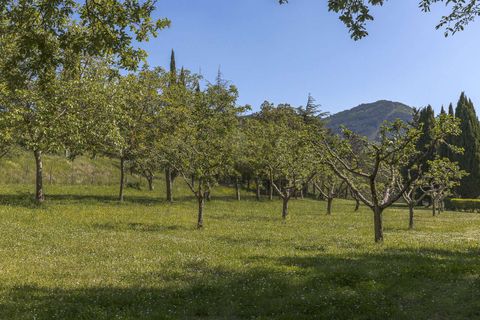 Landejendom i Loro Ciuffenna, Arezzo, Loro Ciuffenna - € 1.180.000 | Ref: ILV93695-1416003 - foto 13