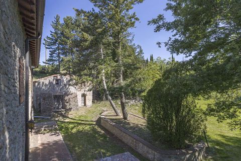 Landejendom i Loro Ciuffenna, Arezzo, Loro Ciuffenna - € 1.180.000 | Ref: ILV93695-1416003 - foto 19