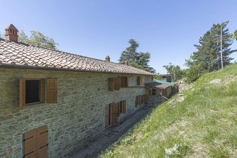 Landejendom i Loro Ciuffenna, Arezzo, Loro Ciuffenna - € 1.180.000 | Ref: ILV93695-1416003 - foto 31