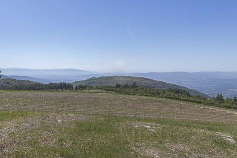 Landejendom i Loro Ciuffenna, Arezzo, Loro Ciuffenna - € 1.180.000 | Ref: ILV93695-1416003 - foto 40