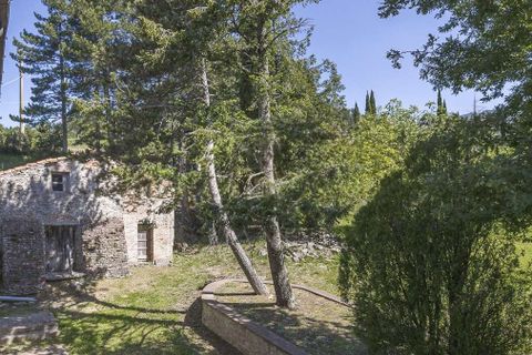 Landejendom i Loro Ciuffenna, Arezzo, Loro Ciuffenna - € 1.180.000 | Ref: ILV93695-1416003 - foto 50