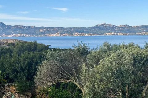 Villa i Arzachena, Sassari, Arzachena - € 2.200.000 | Ref: ILV89864-1416241 - foto 3