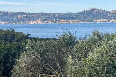 Villa i Arzachena, Sassari, Arzachena - € 2.200.000 | Ref: ILV89864-1416241 - foto 13
