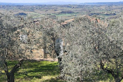 Landejendom i Vinci, Florence, Vinci - € 1.250.000 | Ref: ILV93830-1418229 - foto 8