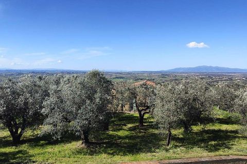 Landejendom i Vinci, Florence, Vinci - € 1.250.000 | Ref: ILV93830-1418229 - foto 35