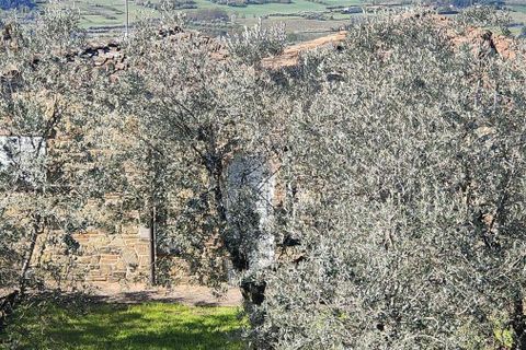 Landejendom i Vinci, Florence, Vinci - € 1.250.000 | Ref: ILV93830-1418229 - foto 38