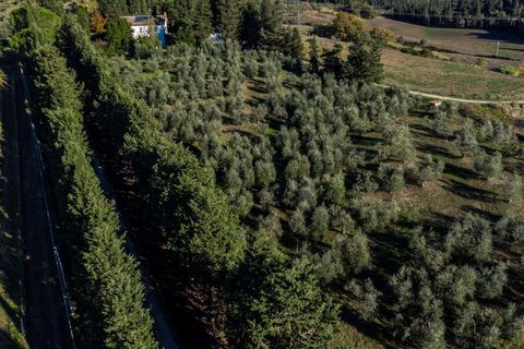 Villa in Empoli, Florence, Empoli - € 1.350.000 | Ref: ILV93834-1418419 - foto 23