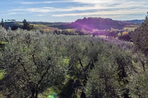Villa in Empoli, Florence, Empoli - € 1.350.000 | Ref: ILV93834-1418419 - foto 24