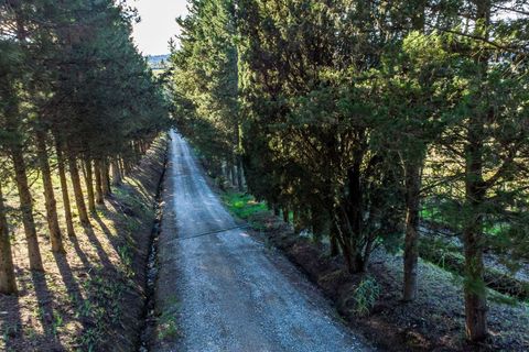 Villa in Empoli, Florence, Empoli - € 1.350.000 | Ref: ILV93834-1418419 - foto 25