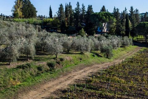 Villa in Empoli, Florence, Empoli - € 1.350.000 | Ref: ILV93834-1418419 - foto 46