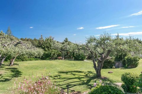 Villa i Porto Cervo, Olbia Tempio, Porto Cervo - € 12.000.000 | Ref: ILV93888-1419700 - foto 17