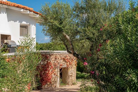 Villa i San Teodoro, Sassari, San Teodoro - € 7.900.000 | Ref: ILV93889-1419742 - foto 21