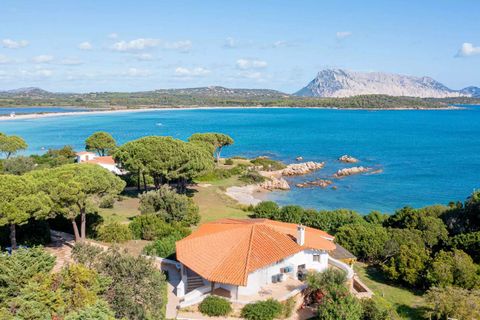 Villa i San Teodoro, Sassari, San Teodoro - € 7.900.000 | Ref: ILV93889-1419742 - foto 28