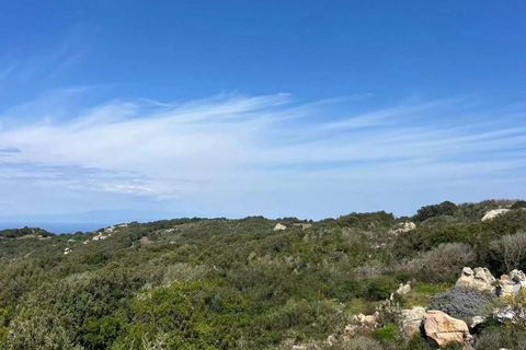 Villa en Luogosanto, Sassari, Luogosanto - € 1.200.000 | Ref: ILV93923-1420395 - photo 10