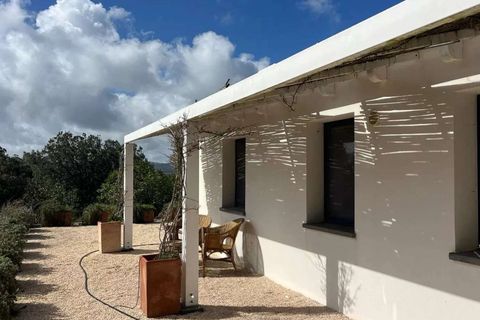 Villa en Luogosanto, Sassari, Luogosanto - € 1.200.000 | Ref: ILV93923-1420395 - photo 17