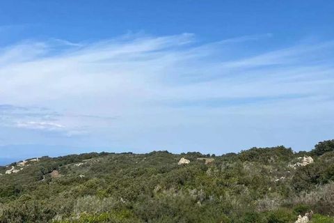 Villa en Luogosanto, Sassari, Luogosanto - € 1.200.000 | Ref: ILV93923-1420395 - photo 31