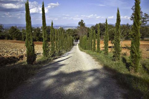 Masia a Cetona, Siena, Cetona - € 3.700.000 | Ref: ILV94040-1421849 - foto 17
