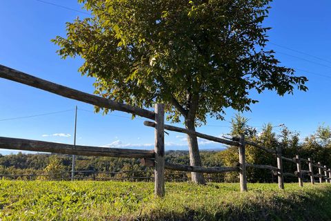 Masia a Mombercelli, Asti, Mombercelli - € 235.000 | Ref: RP-1421981-1421981 - foto 31