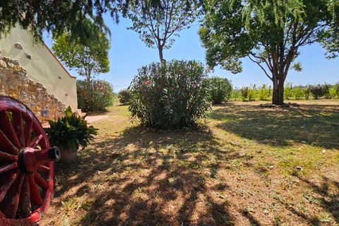 Villa i San Gimignano, Siena, San Gimignano - € 798.000 | Ref: A1190RV2581297A-1422078 - foto 16