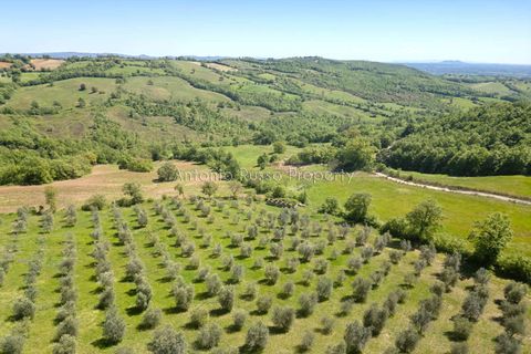 Villa i Saturnia, Grosseto, Saturnia - € 1.600.000 | Ref: R57-1422885 - foto 5