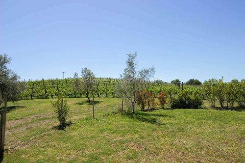 Villa i Saturnia, Grosseto, Saturnia - € 1.600.000 | Ref: R57-1422885 - foto 35