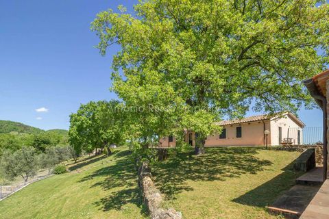 Villa i Saturnia, Grosseto, Saturnia - € 780.000 | Ref: R58-1422930 - foto 3