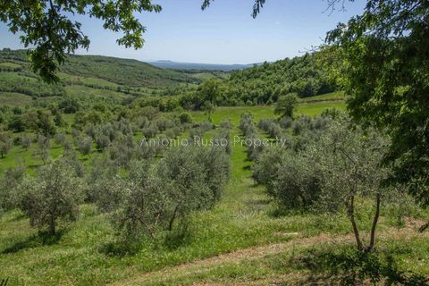 Villa i Saturnia, Grosseto, Saturnia - € 780.000 | Ref: R58-1422930 - foto 31