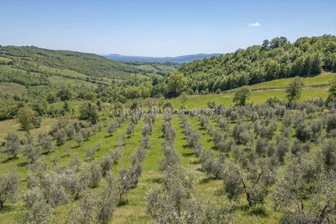 Villa i Saturnia, Grosseto, Saturnia - € 780.000 | Ref: R58-1422930 - foto 33