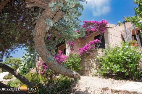 Villa i Costa Paradiso, Sassari, Costa Paradiso - € 279.000 | Ref: RP-1423054-1423054 - foto 5
