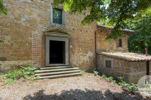 Villa i Viterbo, Viterbo, Viterbo - € 1.500.000 | Ref: VIT333-1423284 - foto 14