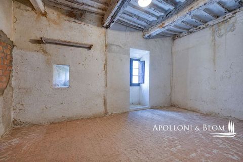 Byhus i Torrita di Siena, Siena, Torrita di Siena - € 1.200.000 | Ref: MTP3832-1424215 - foto 27