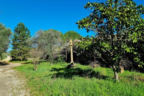 Helårsgrund i Ceyras, Herault, Ceyras - € 89.000 | Ref: 34B-L_OLIVERAIE - foto 3