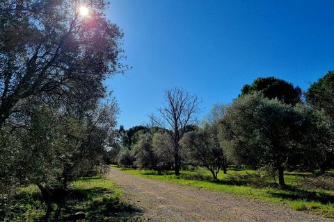Helårsgrund i Ceyras, Herault, Ceyras - € 89.000 | Ref: 34B-L_OLIVERAIE - foto 4